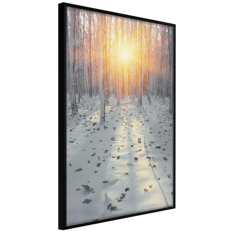 Poster Winter Afternoon - forest in winter atmosphere against setting sun 124457 additionalImage 12