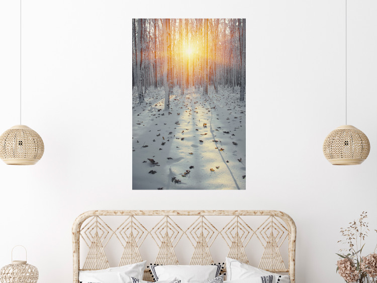 Poster Winter Afternoon - forest in winter atmosphere against setting sun 124457 additionalImage 16