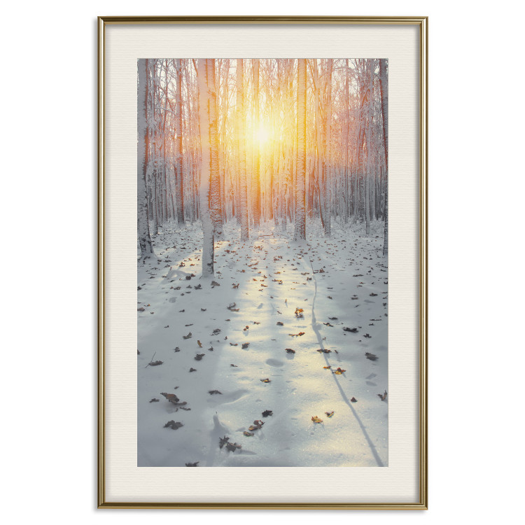 Poster Winter Afternoon - forest in winter atmosphere against setting sun 124457 additionalImage 21