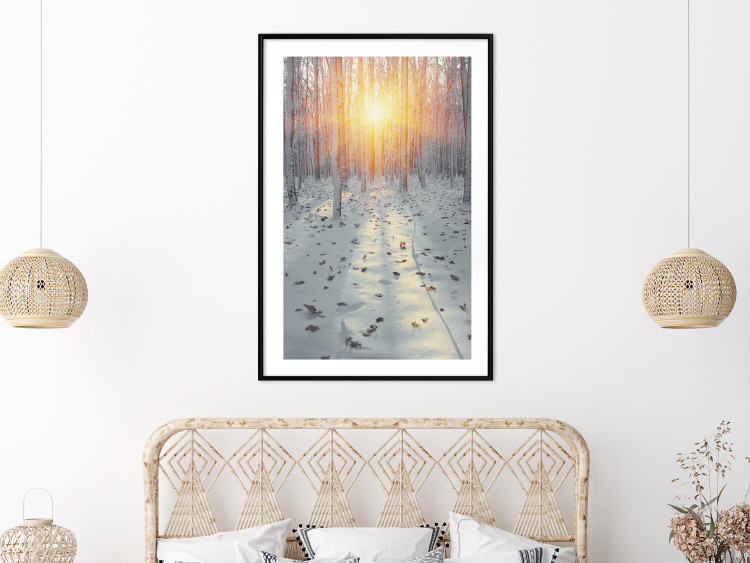Poster Winter Afternoon - forest in winter atmosphere against setting sun 124457 additionalImage 4