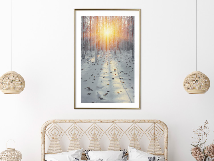 Poster Winter Afternoon - forest in winter atmosphere against setting sun 124457 additionalImage 15