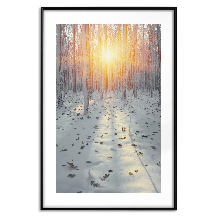 Poster Winter Afternoon - forest in winter atmosphere against setting sun 124457 additionalImage 27