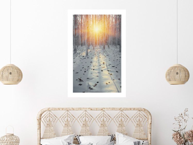 Poster Winter Afternoon - forest in winter atmosphere against setting sun 124457 additionalImage 4
