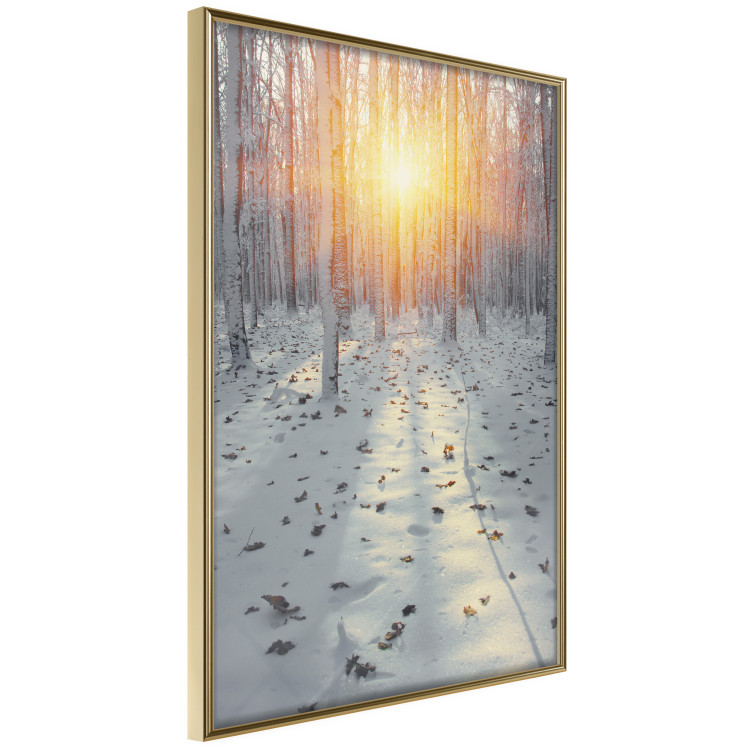 Poster Winter Afternoon - forest in winter atmosphere against setting sun 124457 additionalImage 14