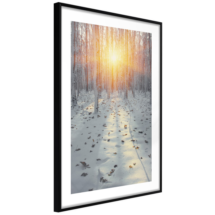 Poster Winter Afternoon - forest in winter atmosphere against setting sun 124457 additionalImage 13