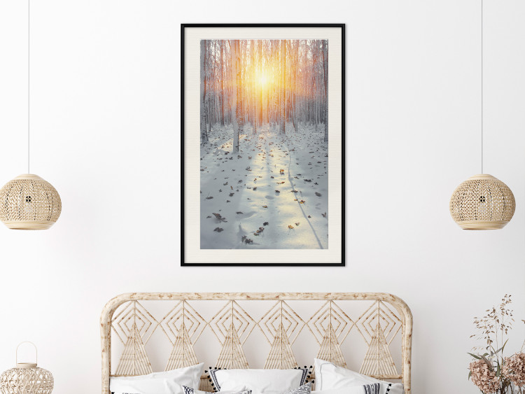 Poster Winter Afternoon - forest in winter atmosphere against setting sun 124457 additionalImage 18