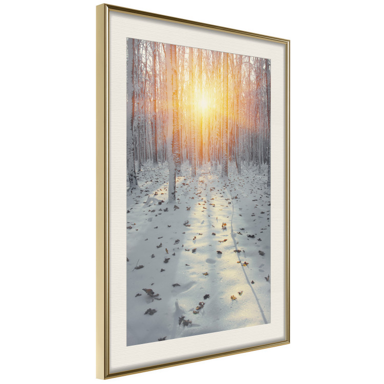 Poster Winter Afternoon - forest in winter atmosphere against setting sun 124457 additionalImage 2