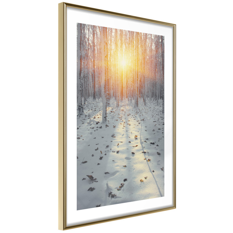Poster Winter Afternoon - forest in winter atmosphere against setting sun 124457 additionalImage 6
