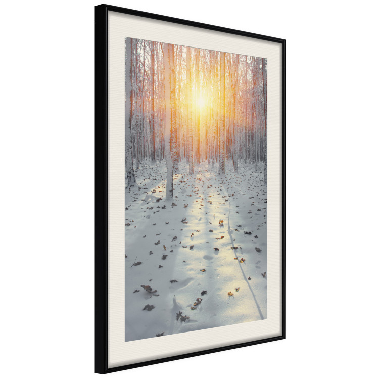 Poster Winter Afternoon - forest in winter atmosphere against setting sun 124457 additionalImage 3