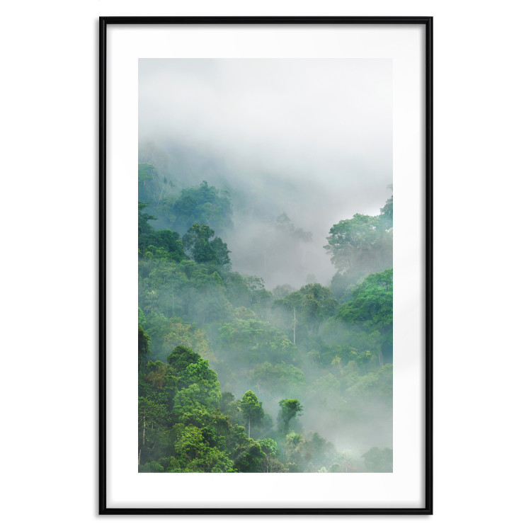 Poster Exotic Adventure - landscape of a forest surrounded by mist on a mountain range 125757 additionalImage 17