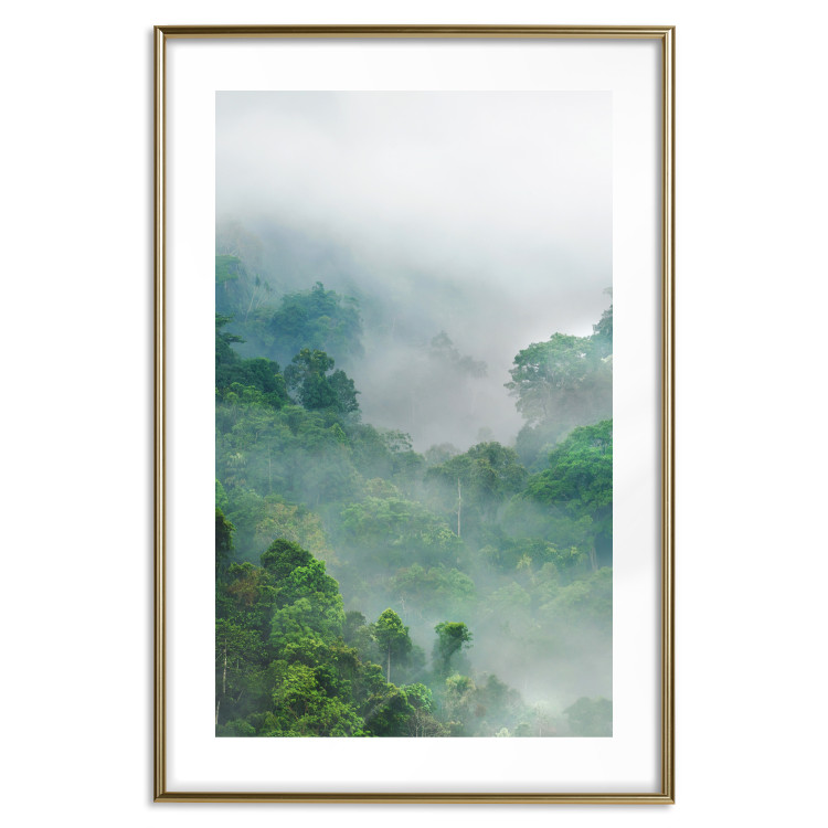 Poster Exotic Adventure - landscape of a forest surrounded by mist on a mountain range 125757 additionalImage 16