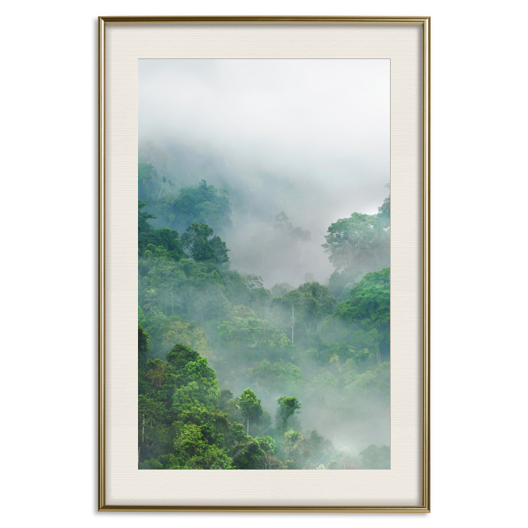Poster Exotic Adventure - landscape of a forest surrounded by mist on a mountain range 125757 additionalImage 19