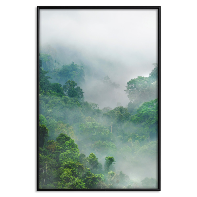 Poster Exotic Adventure - landscape of a forest surrounded by mist on a mountain range 125757 additionalImage 18
