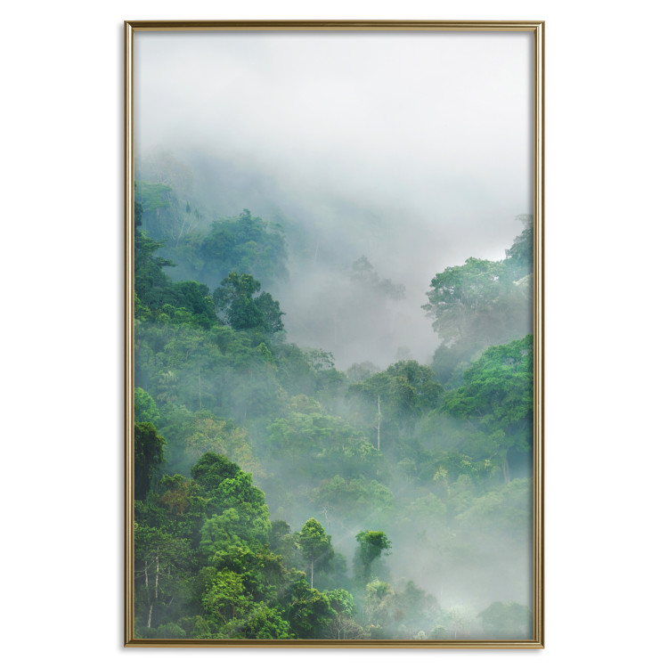 Poster Exotic Adventure - landscape of a forest surrounded by mist on a mountain range 125757 additionalImage 20