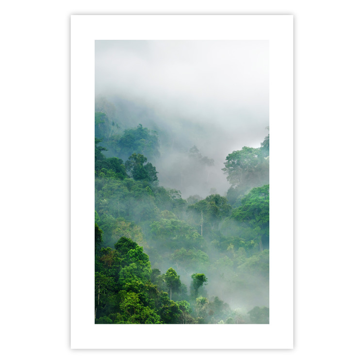 Poster Exotic Adventure - landscape of a forest surrounded by mist on a mountain range 125757 additionalImage 25