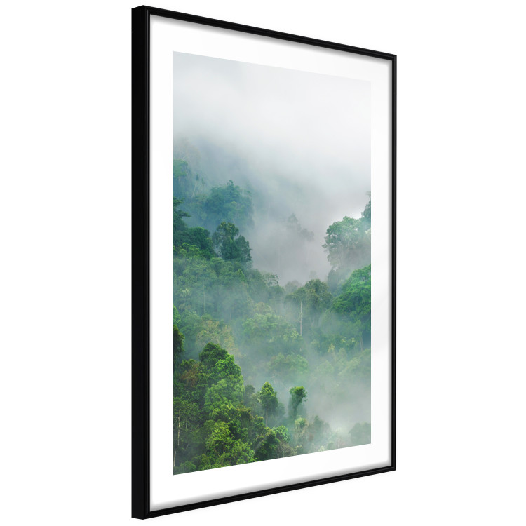 Poster Exotic Adventure - landscape of a forest surrounded by mist on a mountain range 125757 additionalImage 11