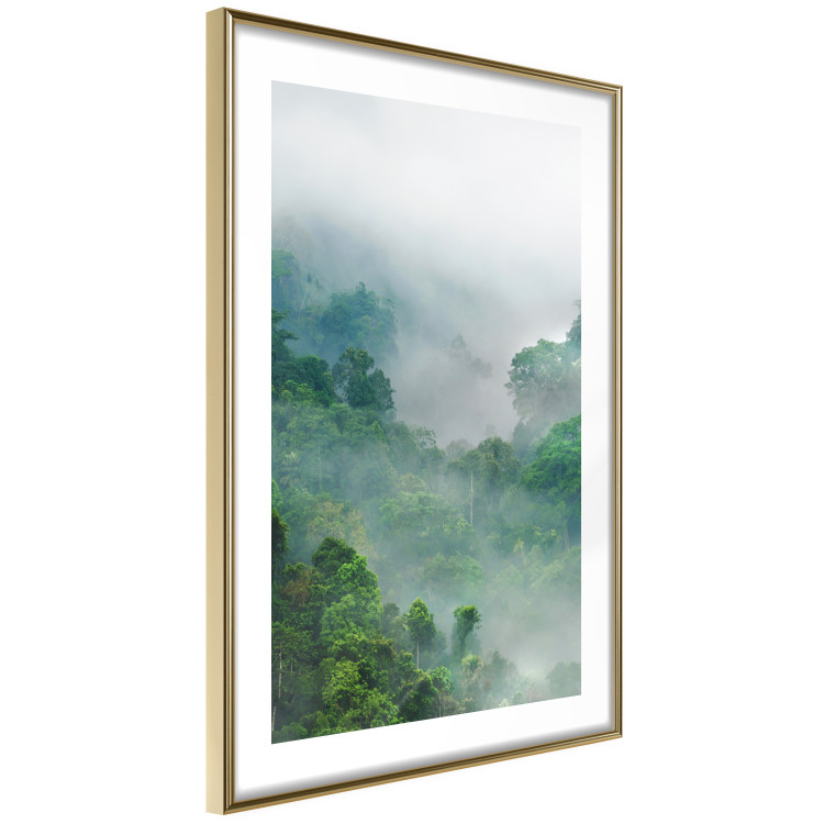Poster Exotic Adventure - landscape of a forest surrounded by mist on a mountain range 125757 additionalImage 8
