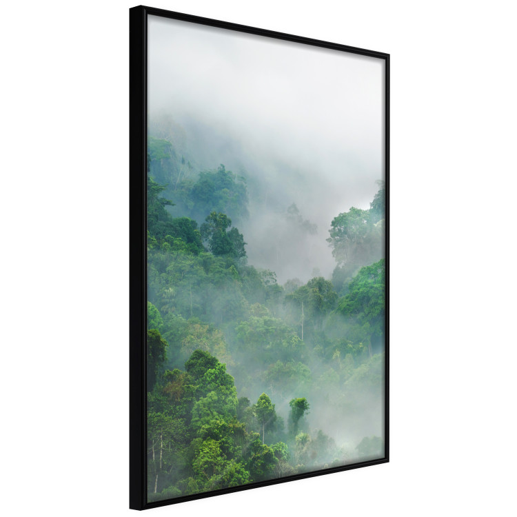 Poster Exotic Adventure - landscape of a forest surrounded by mist on a mountain range 125757 additionalImage 10