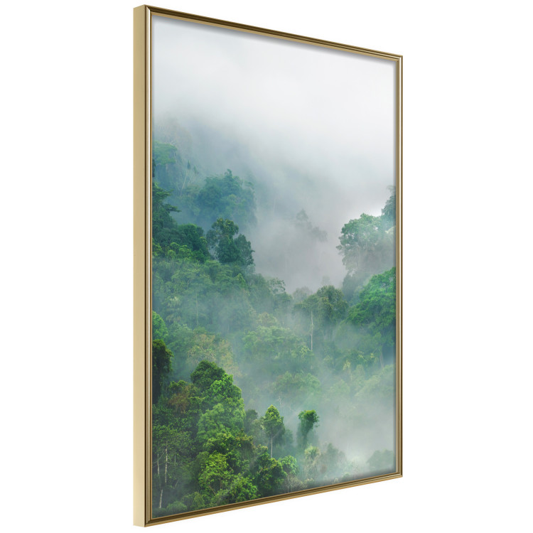 Poster Exotic Adventure - landscape of a forest surrounded by mist on a mountain range 125757 additionalImage 12
