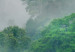 Poster Exotic Adventure - landscape of a forest surrounded by mist on a mountain range 125757 additionalThumb 8