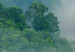 Poster Exotic Adventure - landscape of a forest surrounded by mist on a mountain range 125757 additionalThumb 9