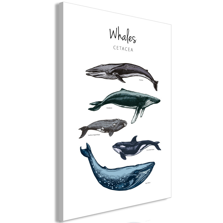 Canvas Print Whales (1 Part) Vertical 126857 additionalImage 2
