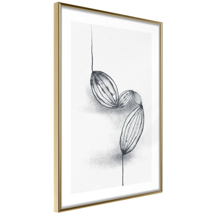 Poster Cocoa Beans - line art of cocoa beans on a contrasting white background 131957 additionalImage 7