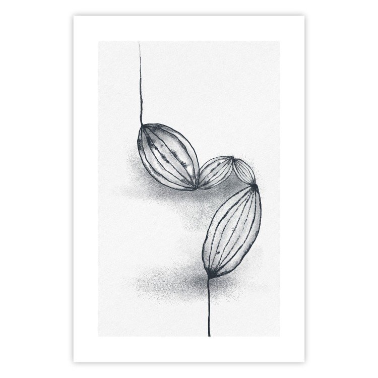 Poster Cocoa Beans - line art of cocoa beans on a contrasting white background 131957 additionalImage 18