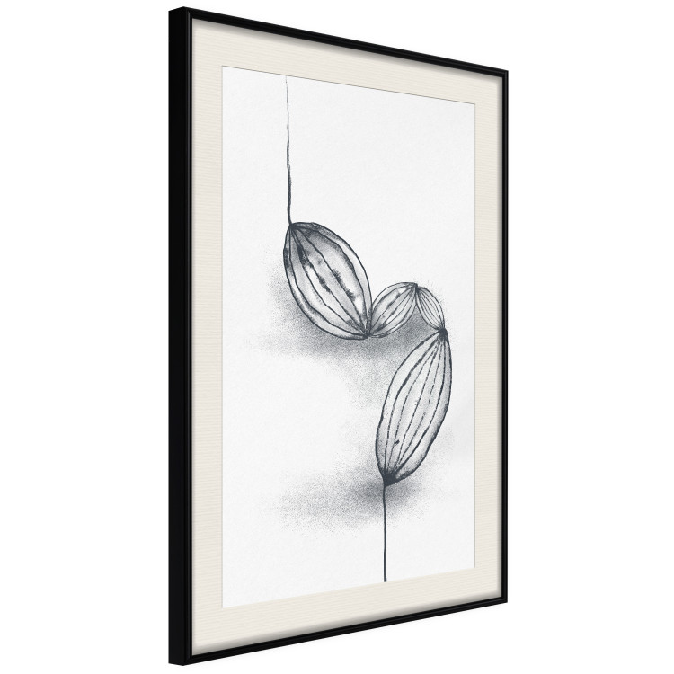 Poster Cocoa Beans - line art of cocoa beans on a contrasting white background 131957 additionalImage 2