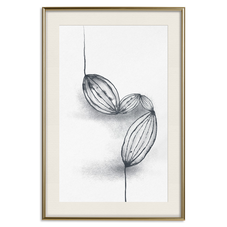 Poster Cocoa Beans - line art of cocoa beans on a contrasting white background 131957 additionalImage 27