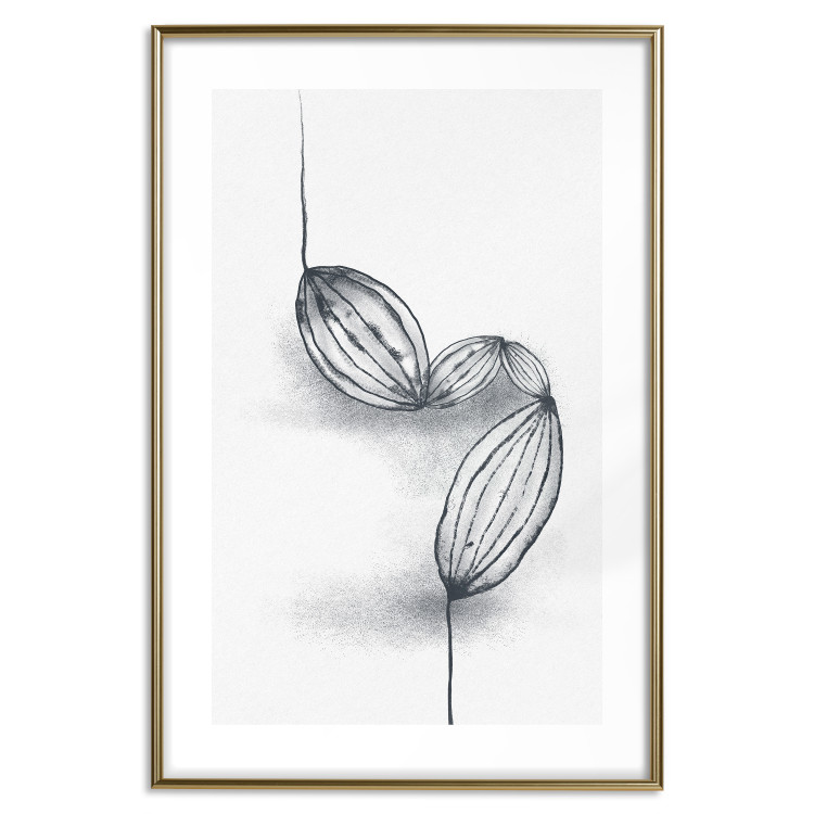 Poster Cocoa Beans - line art of cocoa beans on a contrasting white background 131957 additionalImage 18