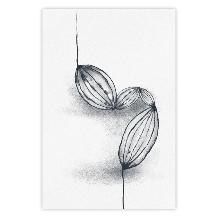 Poster Cocoa Beans - line art of cocoa beans on a contrasting white background 131957