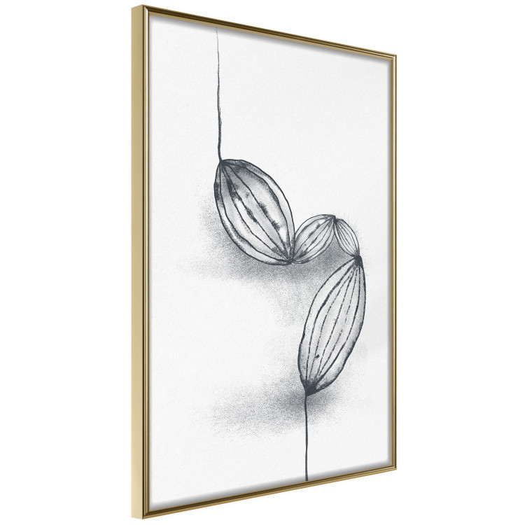 Poster Cocoa Beans - line art of cocoa beans on a contrasting white background 131957 additionalImage 12