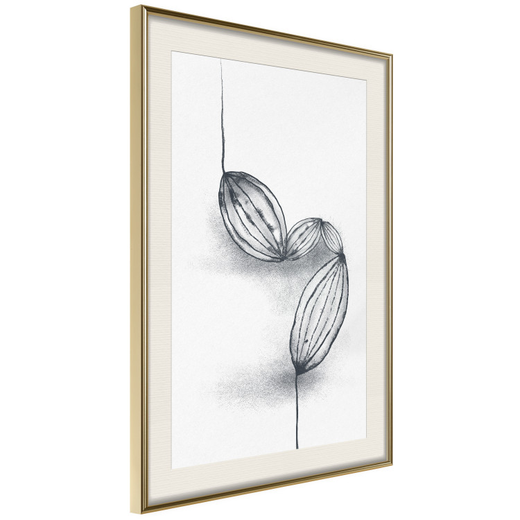 Poster Cocoa Beans - line art of cocoa beans on a contrasting white background 131957 additionalImage 3
