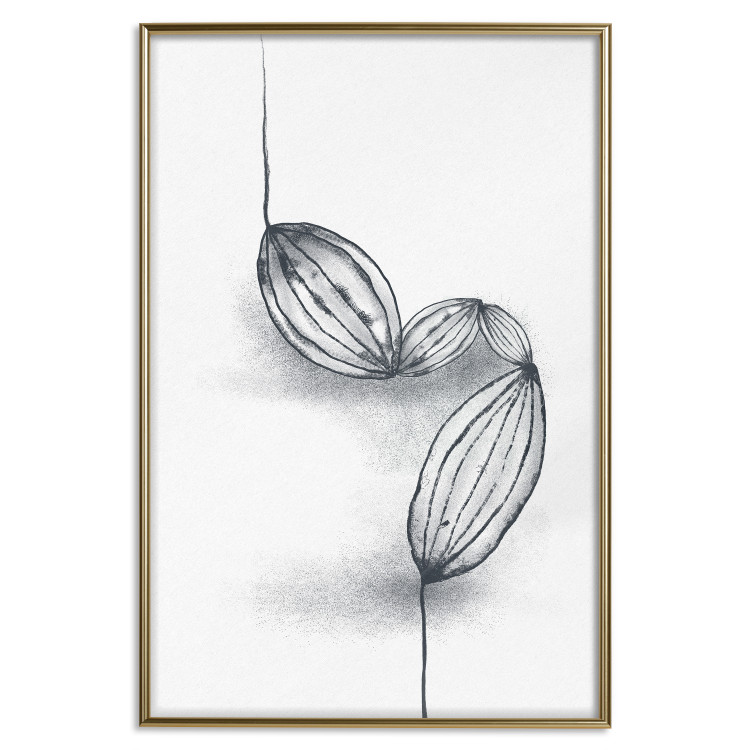 Poster Cocoa Beans - line art of cocoa beans on a contrasting white background 131957 additionalImage 17
