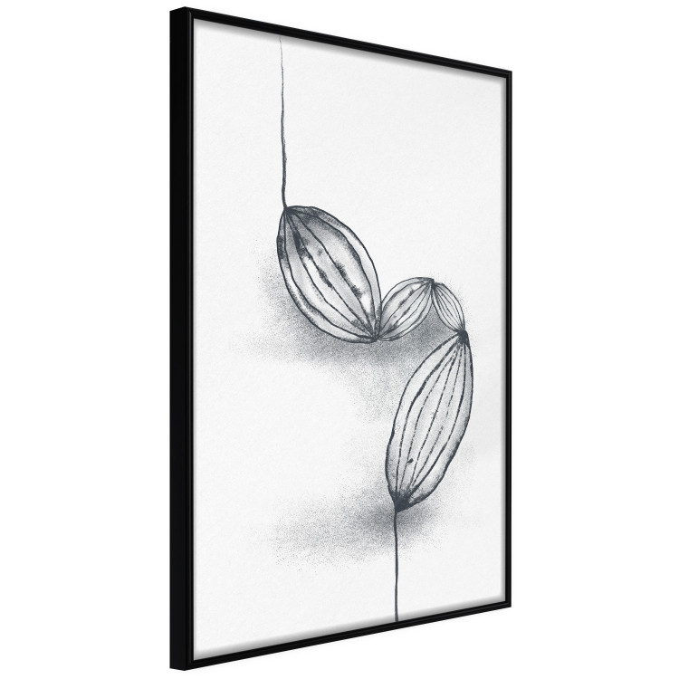 Poster Cocoa Beans - line art of cocoa beans on a contrasting white background 131957 additionalImage 11