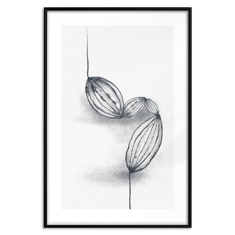 Poster Cocoa Beans - line art of cocoa beans on a contrasting white background 131957 additionalImage 19