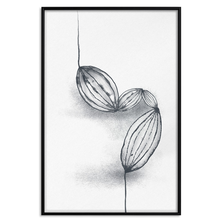 Poster Cocoa Beans - line art of cocoa beans on a contrasting white background 131957 additionalImage 16