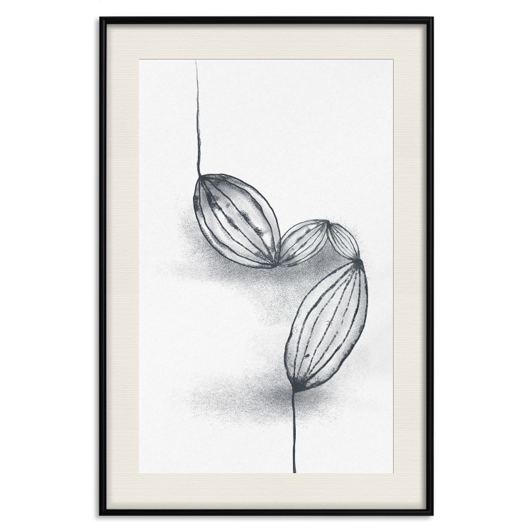Poster Cocoa Beans - line art of cocoa beans on a contrasting white background 131957 additionalImage 26