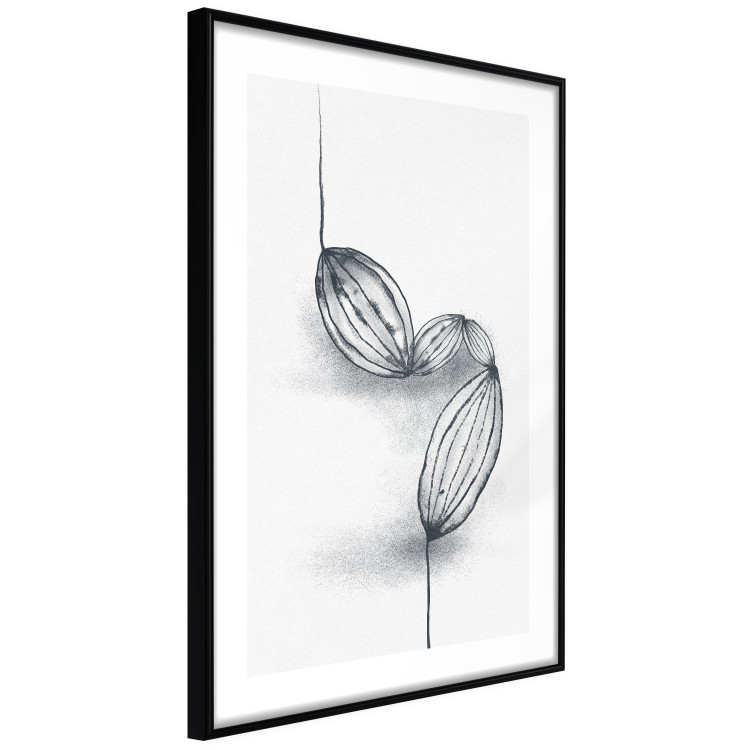 Poster Cocoa Beans - line art of cocoa beans on a contrasting white background 131957 additionalImage 8