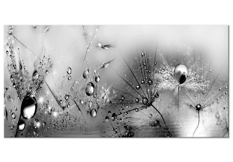 Large canvas print Drop of Naturalness II [Large Format] 136357