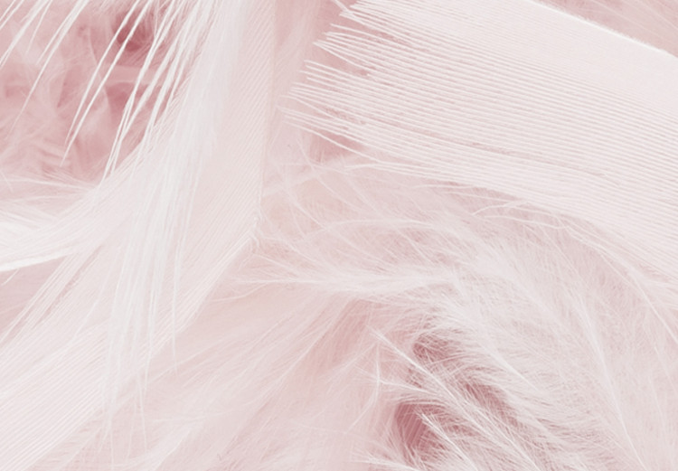 Wall Poster Pink Feathers - fluffy pastel composition with English text 136457 additionalImage 3