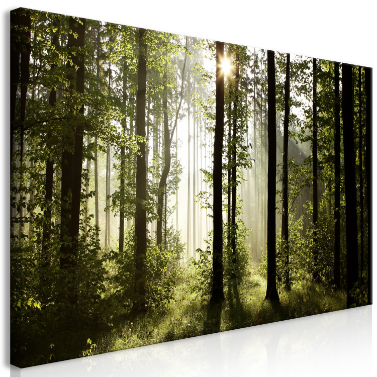 Large canvas print Summer Fog II [Large Format] 137557 additionalImage 3