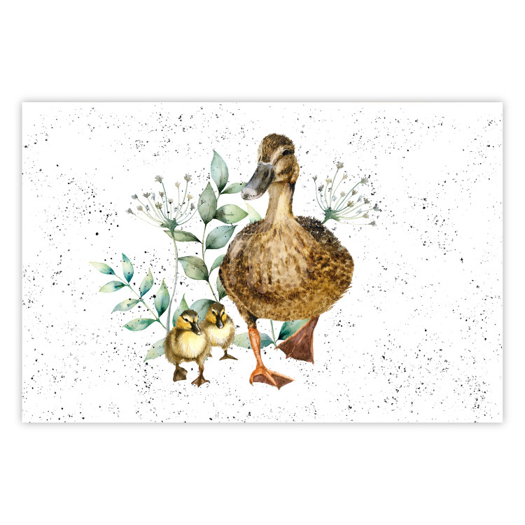 Wall Poster The Family of Ducks - Cute Painted Animals and Plants on the Background With Splashes 145757