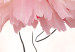 Wall Poster Dancer - Lineart of a Ballerina in a Dress Made of Pink Flower Petals 148557 additionalThumb 4