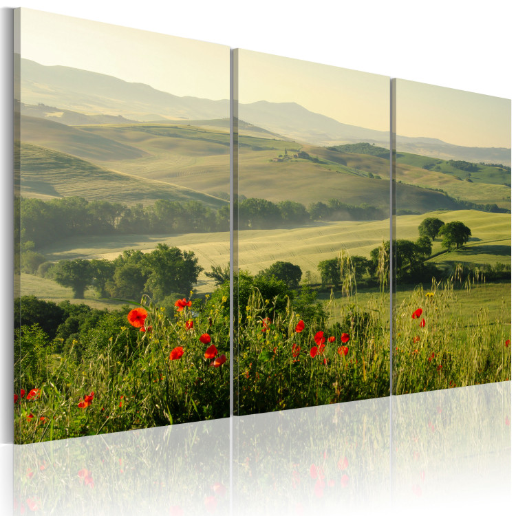 Canvas Print Poppies on Tuscany fields 58657 additionalImage 2