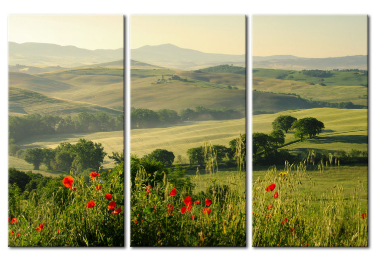 Canvas Print Poppies on Tuscany fields 58657