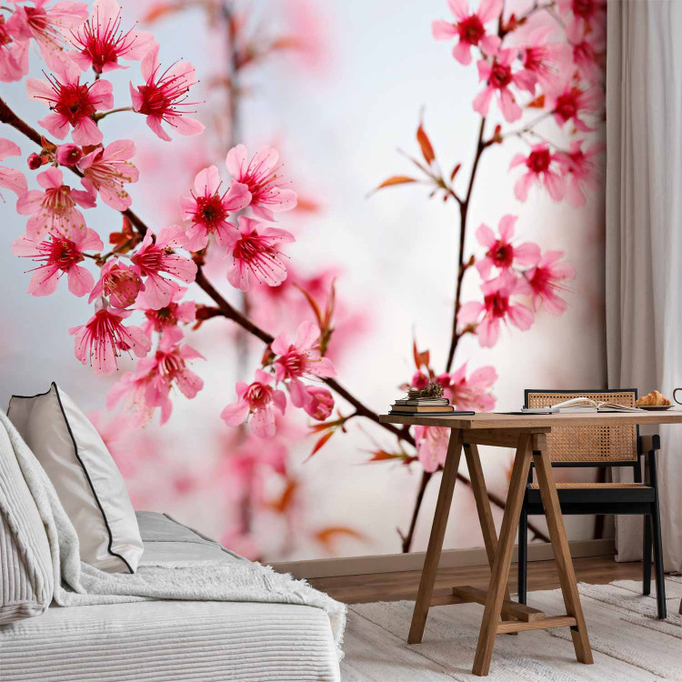Wall Mural Symbol of Japan - Cherry Blossom Sakura - Bright Japanese Floral Motif 60657 additionalImage 4