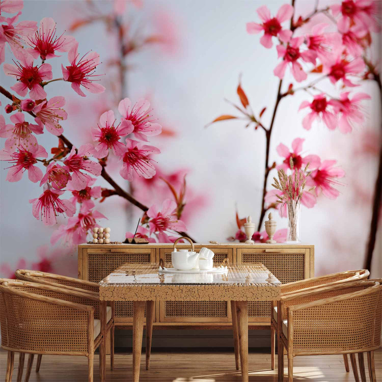 Wall Mural Symbol of Japan - Cherry Blossom Sakura - Bright Japanese Floral Motif 60657 additionalImage 6