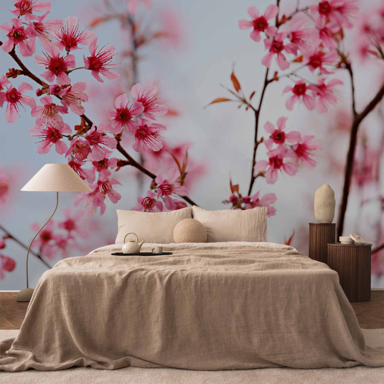 Wall Mural Symbol of Japan - Cherry Blossom Sakura - Bright Japanese Floral Motif 60657 additionalImage 2